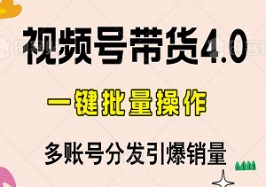 2024年8月视频号带货4.0：一键批量操作，多账号分发引爆销量-二八网赚