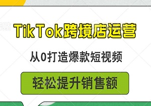 TikTok跨境店运营，从0打造爆款短视频，轻松提升销售额！-二八网赚