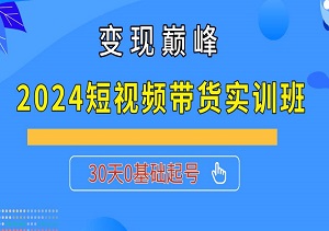 2024短视频带货实训班，30天0基础起号，直击变现巅峰-二八网赚