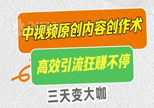 三天变大咖：中视频原创内容创作术，高效引流狂赚不停-二八网赚