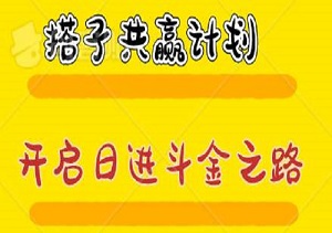 搭子共赢计划：1单9.9元开启日进斗金之路，适合所有新手小白！-二八网赚