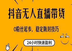 24小时快速盈利：抖音无人直播带货实战指南，0粉丝起步，稳定防封技巧-二八网赚