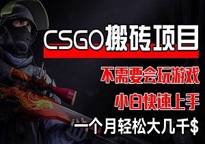 CSGO装备搬砖项目，无需游戏基础，小白也能轻松赚取额外收入-二八网赚