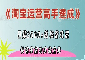 《淘宝运营高手速成》：揭秘日赚2000+的秘密武器，新手也能快速掌握的实战宝典！-二八网赚