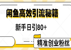 闲鱼高效引流秘籍，新手日引80+精准创业粉丝-二八网赚