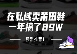 2024年私域流量实战案例：莆田鞋如何一年内创造89万销售额-二八网赚