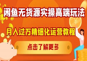 从新手到高手：闲鱼无货源精细化运营全攻略，轻松实现月入过万-二八网赚