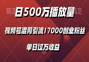 日500万播放量，用视频号混剪引流17000创业粉丝，实现单日过万收益-二八网赚