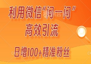 利用微信“问一问”高效引流：日增100+精准粉丝的实战-二八网赚