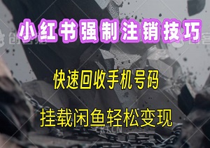 小红书强制注销技巧，快速回收手机号码，挂载闲鱼轻松变现-二八网赚