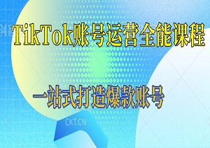 从0开始，TikTok账号运营全能课程，一站式打造爆款账号-二八网赚