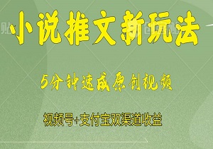 5分钟速成原创视频，小说推文新玩法，视频号+支付宝双渠道收益-二八网赚