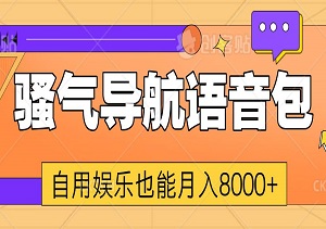 骚气导航语音包：自用娱乐也能月入8000+的创意项目-二八网赚