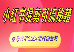 小红书混剪引流秘籍：单号日引200+宝妈创业粉，简单操作可矩阵化-二八网赚