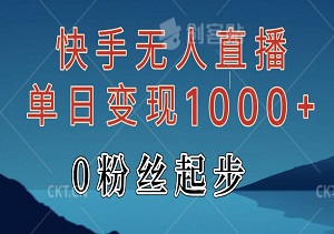 0粉丝起步：快手无人直播单日变现1000+的实战指南-二八网赚