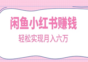 闲鱼小红书掘金攻略：轻松实现月入六万+的赚钱项目-二八网赚