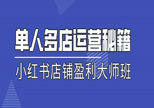 从0到有，利用AI技术一个人管理十家小红书店铺的实战指南-二八网赚