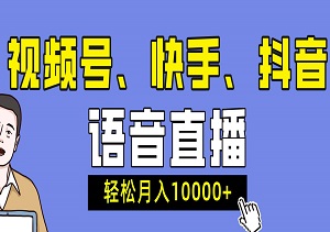 视频号、快手、抖音语音直播，轻松日入500，熟练后日赚1500-3000的赚钱方法-二八网赚