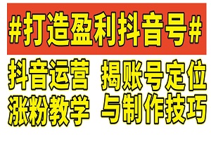 抖音运营涨粉教学，揭秘账号定位与制作技巧，从零到一打造盈利抖音号-二八网赚