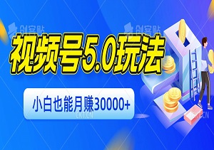 视频号最新5.0玩法，小白轻松月入30000+-二八网赚