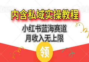 小红书蓝海赛道，月收入无上限，支持矩阵运营，内含私域实操教程-二八网赚