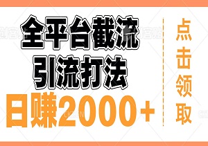 小红书、抖音、视频号全平台截流自热引流打法，全自动引流，日赚2000+-二八网赚