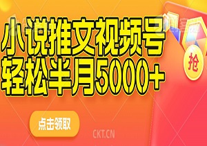 小说推文结合视频号，单账号半月轻松破5000+收益-二八网赚