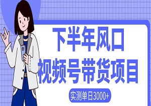 下半年视频号带货项目，三个月时间赚一年收入，工作室实测单日3000+-二八网赚