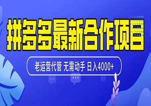 拼多多最新合作项目，日入4000+，两天销量过百单，无学费，老运营代操作，小白福音-二八网赚