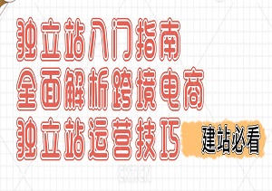 独立站入门指南，从选品到建站，全面解析跨境电商独立站运营技巧与爆品打造方法-二八网赚