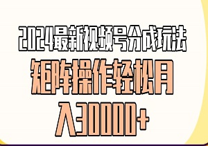 2024最新视频号分成玩法，情感赛道，快速起号，矩阵操作轻松月入30000+-二八网赚