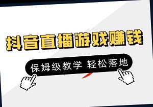 从0到高手，抖音直播游戏赚钱实战教程，保姆级教学，跟着学，轻松落地-二八网赚