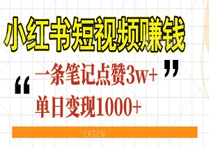 小红书短视频赚钱，人性痛点笔记，一条笔记点赞3w+，单日变现1000+-二八网赚