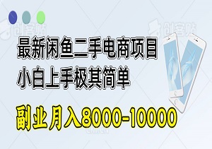 最新闲鱼二手电商项目，流程简单，小白易上手，副业月入8000-10000-二八网赚