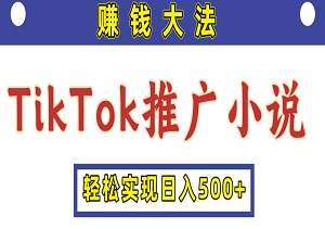 抓住蓝海机遇，TikTok推广小说，轻松实现日入500+，矩阵放大收益无限！-二八网赚