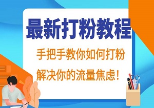 全面打粉指南，从零开始，手把手教你精准引流，快速解决流量难题，提升粉丝质量！-二八网赚