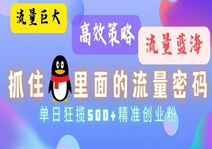 流量蓝海，抓住QQ的流量密码！高效策略，单日狂揽500+精准创业粉，操作简单，效果显著！-二八网赚