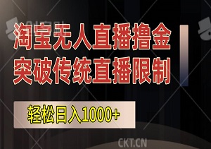 淘宝无人直播撸金，突破传统直播限制的创富秘籍，轻松日入1000+-二八网赚