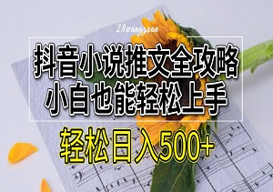 抖音小说推文全攻略，小白也能轻松上手，日入500+轻轻松松-二八网赚