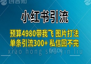 小红书“预算4980带我飞”图片打法，一张图片引爆创业粉，单条引流300+，私信回不完！-二八网赚