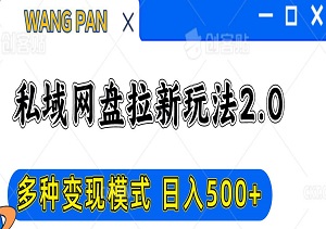 私域网盘拉新玩法2.0，多种变现模式，打造私域回流，日入500+！-二八网赚