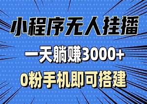 抖音小程序无人挂播，一天轻松赚300+，0粉手机可搭建，不违规不限流！-二八网赚