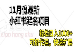 11月份最新小红书起名项目，轻松日入1000+，可招代理，快速扩展（内附资料）-二八网赚