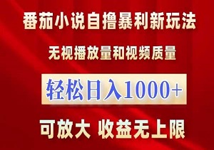 番茄小说新技巧，无视播放量，轻松日入1000元，可扩展操作，收益提升-二八网赚