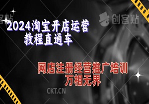 2024淘宝开店运营教程直通车【2024年11月】，网店注册经营推广培训，万相无界-二八网赚