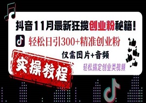 抖音11月最新狂揽创业粉秘籍，轻松日引300+精准创业粉，图片和音频轻松制作-二八网赚