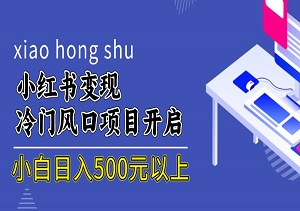 每天10分钟，小红书冷门风口项目开启，有手就行的搬运赚钱法，小白日入500元以上-二八网赚