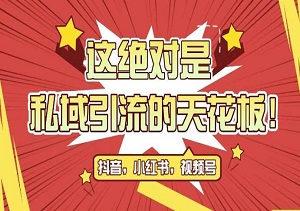 高效公域引流技巧，轻松吸引500+新客户，附赠脚本，克隆截流自热玩法-二八网赚