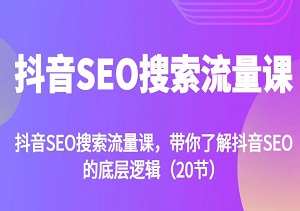 抖音SEO搜索流量课，20节课揭示抖音SEO的核心原理-二八网赚