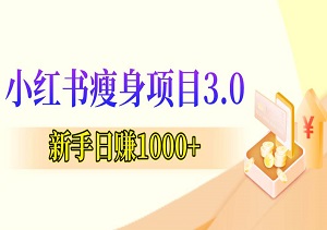 小红书瘦身项目3.0，新手日赚1000+，裂变收益轻松实现-二八网赚